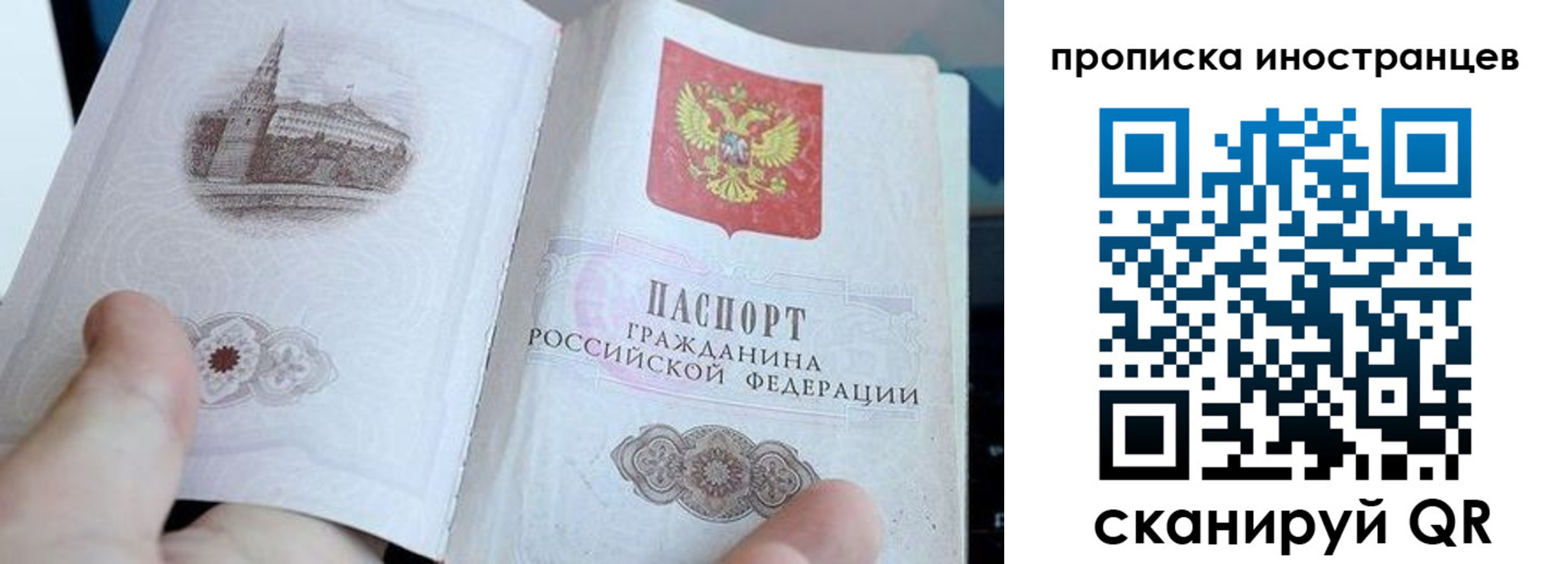прописка поиск в Новом Осколе